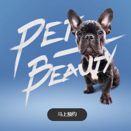 奉节宠物中心小程序开发