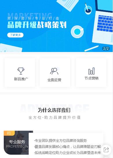 奉节咨询策划小程序开发