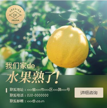 奉节果园果林小程序开发